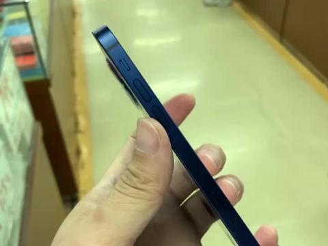 二手市场为什么叫跳蚤市场是什么意思怎么来的 为啥不叫苍蝇市场？