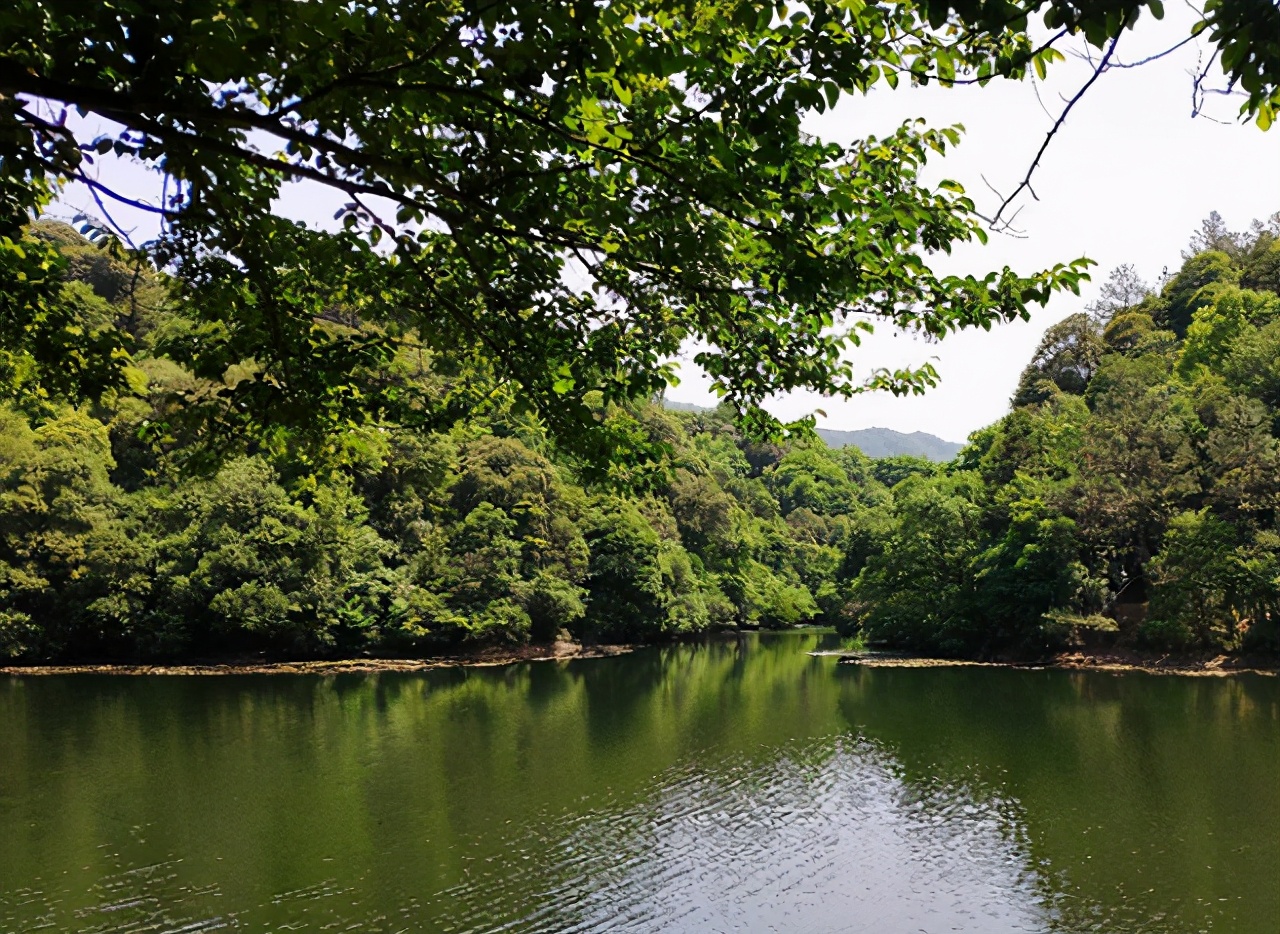 第一个就是位于安徽省芜湖市南陵县的小格里自然风景区了,这里被称为"