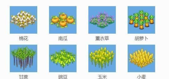 全民农场排行榜点赞_全民农场排行榜冠军有什么奖励