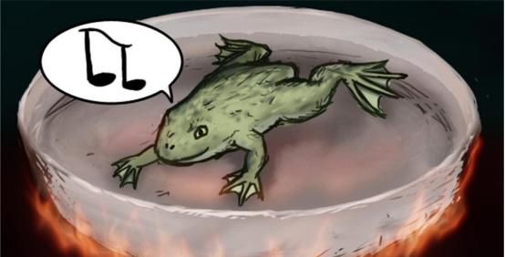 意大利海域出现僵尸鲨鱼既没皮肤也没牙齿长相很怪异