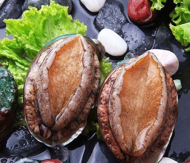 鲍鱼视频最新域名SEO排名