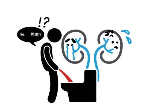 肾衰竭|慢性肾病|肾脏_新浪新闻