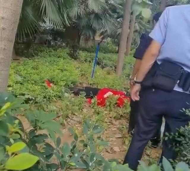 三亚一女子身着红衣红鞋21楼窗外热舞,不幸坠楼,屋内留有遗书休闲区蓝鸢梦想 - Www.slyday.coM 三亚一女子身着红衣红鞋21楼窗外热舞,不幸坠楼,屋内留有遗书休闲区蓝鸢梦想 - Www.slyday.coM