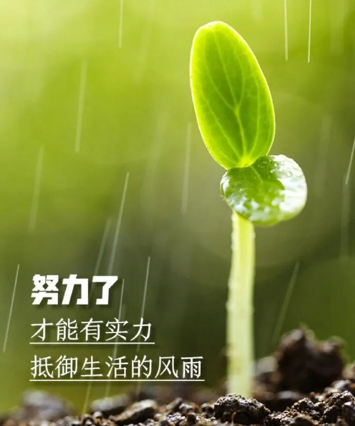 逆境中激励自己的句子句句走心温暖心窝