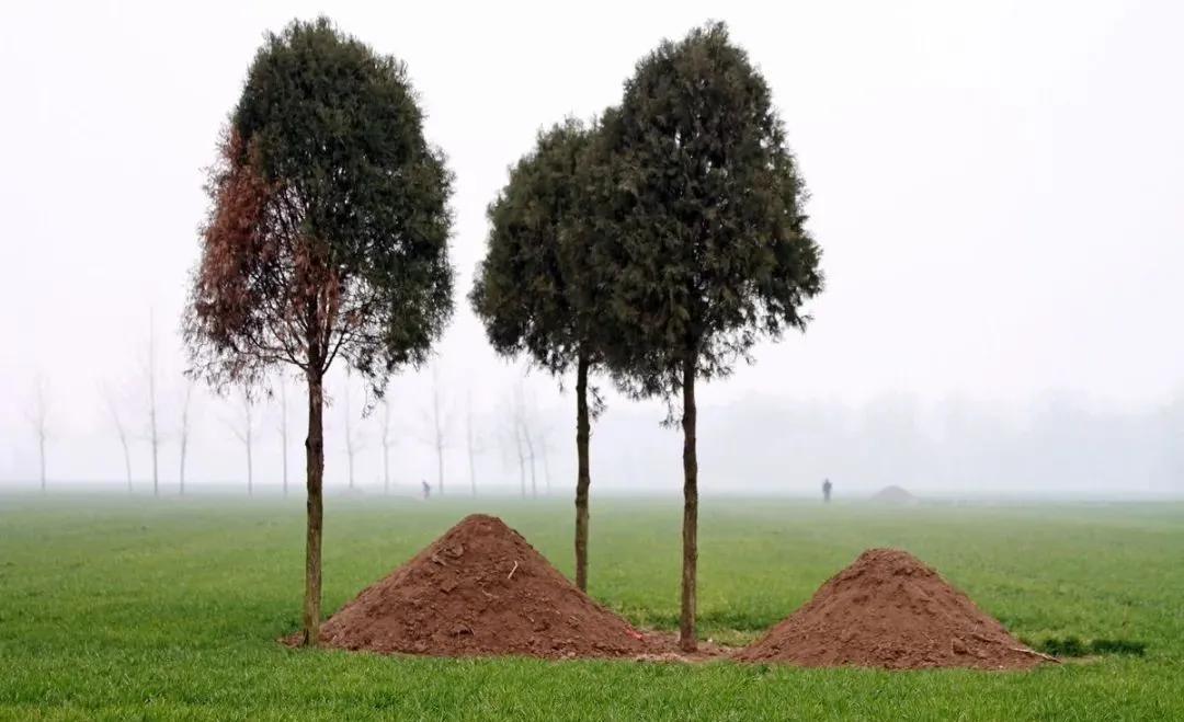 火葬|土葬|棺葬_新浪新闻