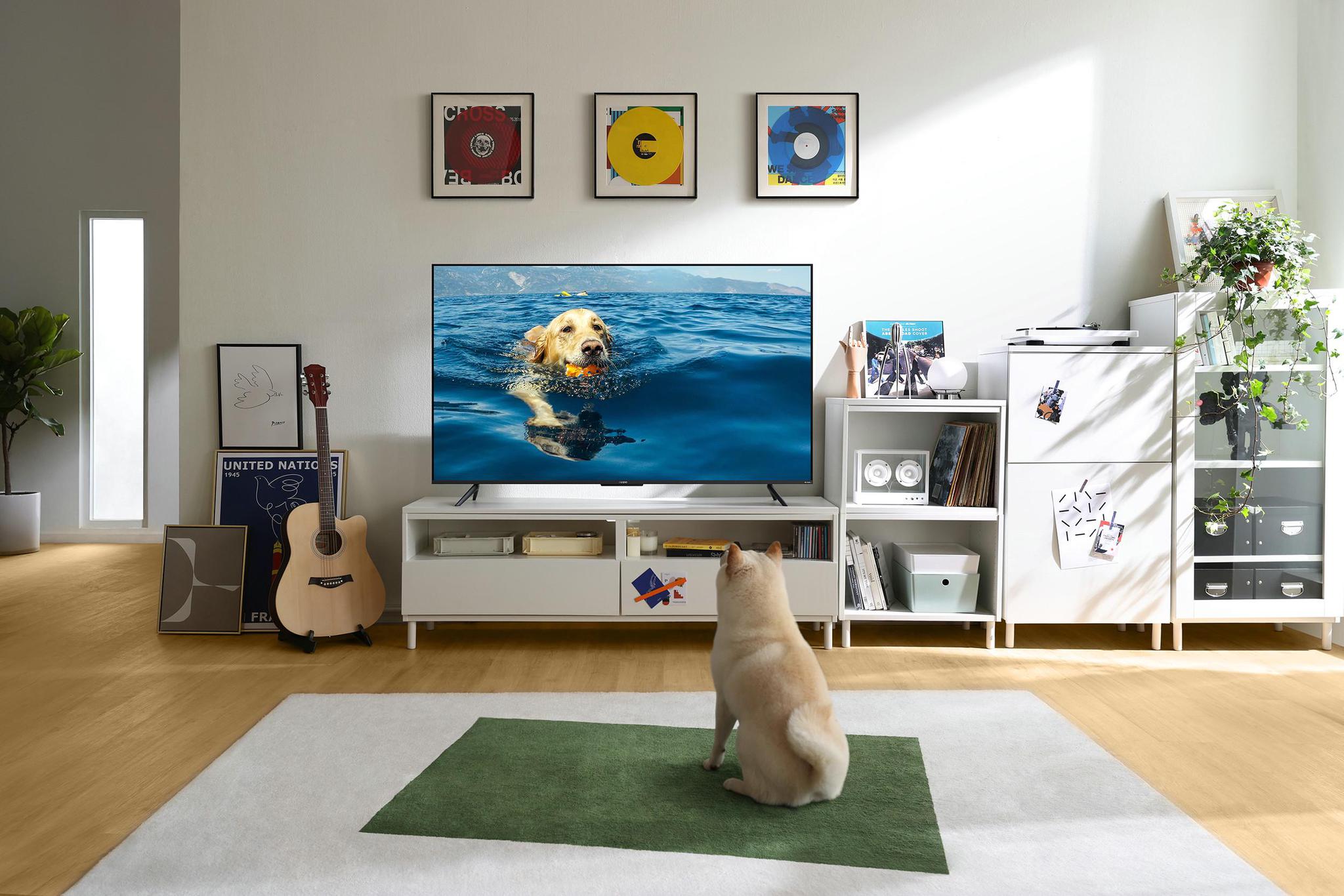 OPPO K9!它不仅是一款电视,更是预示着OPPO未来的布局!