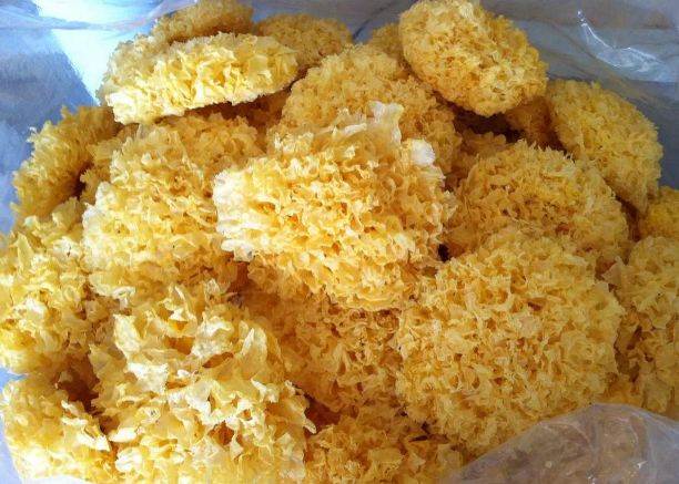 牢记3招,挑到好银耳,避开"硫磺"银耳,吃得放心