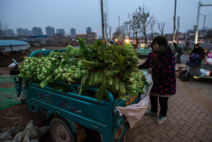 反而会带来了诸多不便,农村电动三轮车无法进城卖菜,城市里无法使用