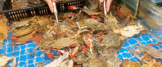 沈城自助餐食用指南doc