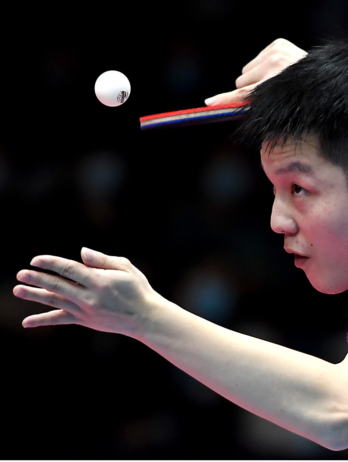 乒乓球——"直通wtt大满贯·世乒赛":樊振东获男单亚军