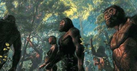 古老洞穴中发现古人类遗址,距今180万年,来看看他们怎么生活|化石|古猿|祖先|科学家|工具_新浪新闻