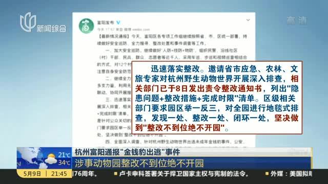 杭州富阳通报“金钱豹出逃”事件：涉事动物园整改不到位绝不开园