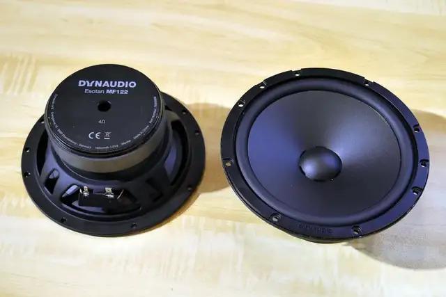 老杨疯了把丹拿汽车喇叭卖到2080元