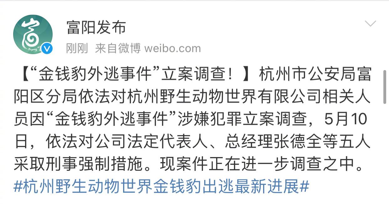 杭州警方立案调查金钱豹外逃事件|杭州_新浪新闻