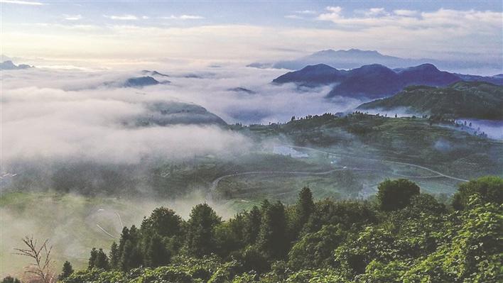 浙江永嘉县桥下镇全力打造工贸型县域副中心