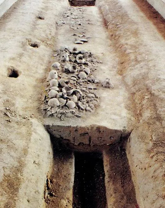 上图_ 郑州商代遗址 发掘现场具体情况具体分析或许商朝屡次迁都,都不