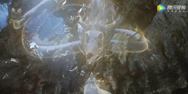 遇龙每周什么时候更新播出?一周更新几集?每周几几点更新