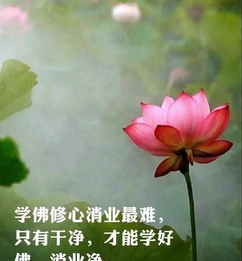 冤冤相报何时了