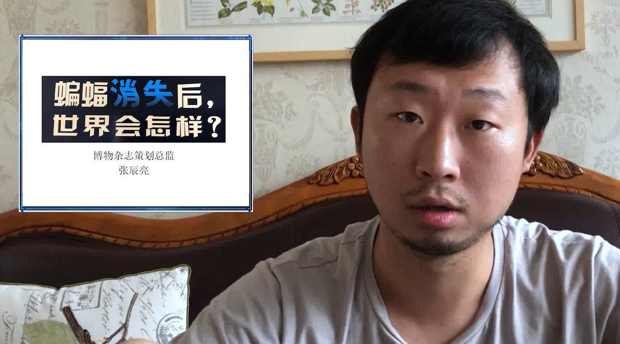 无穷小亮:蝙蝠消失后,世界会怎样?张辰亮解读