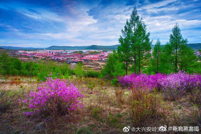 走啊跟我一起去看大兴安岭的春季限量美景吧大兴安岭文体广电和旅游局