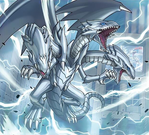 游戏王卡牌青眼白龙迎来全新手坑相性合适只是没有字段