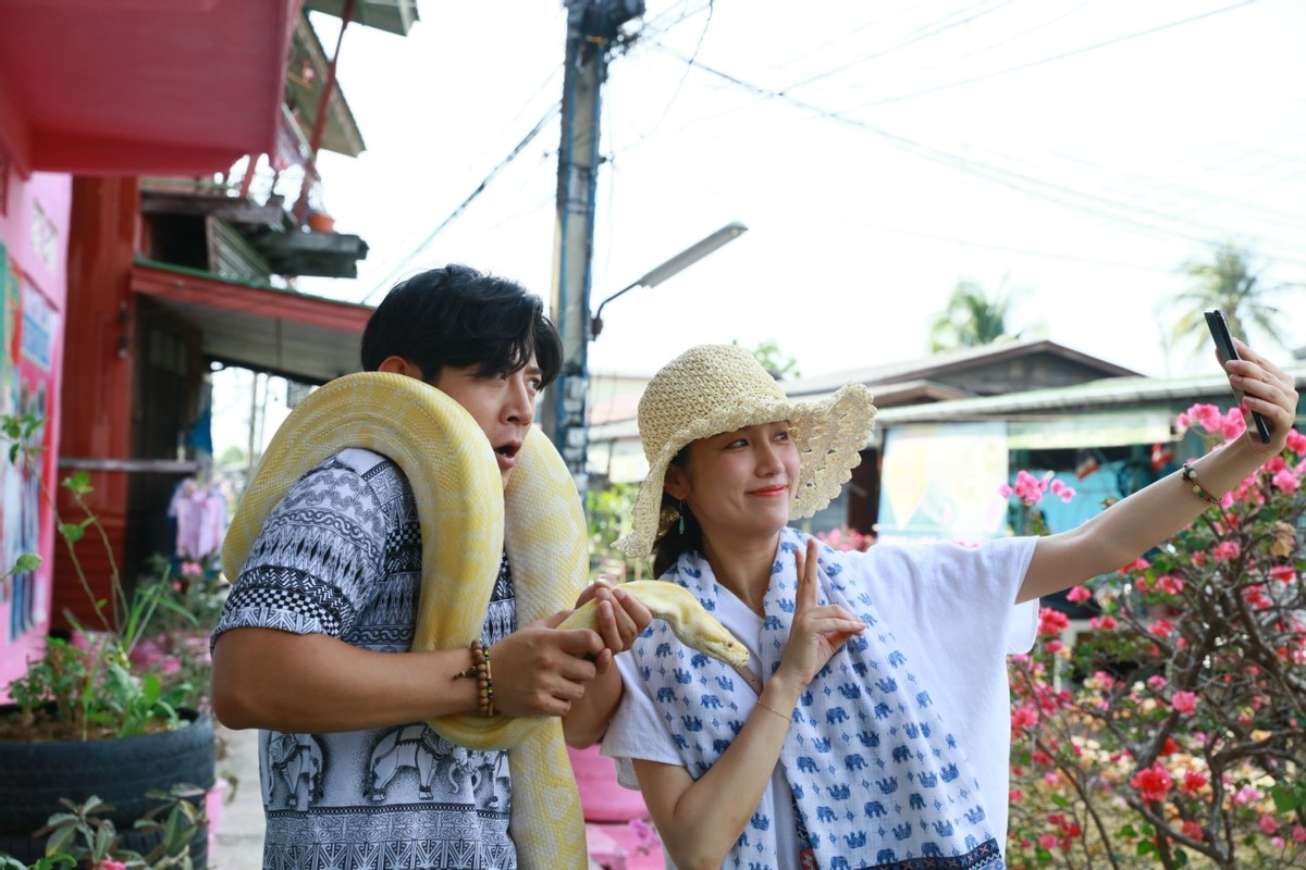 泰味儿唐人街美食大作战上天眷顾会厨艺的笨小孩