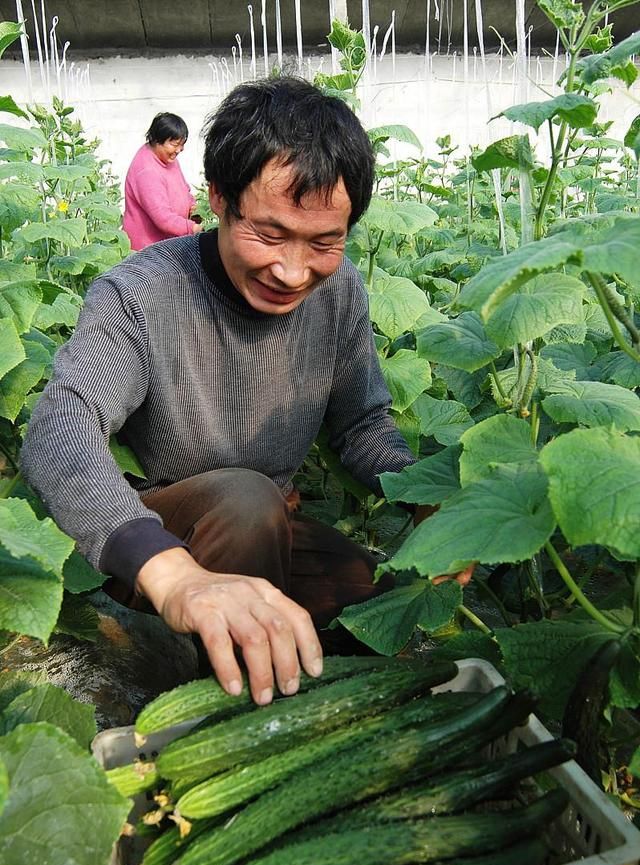 农村老人借2万给小伙子买车,半月后那人因车祸离世,钱找谁要?休闲区蓝鸢梦想 - Www.slyday.coM