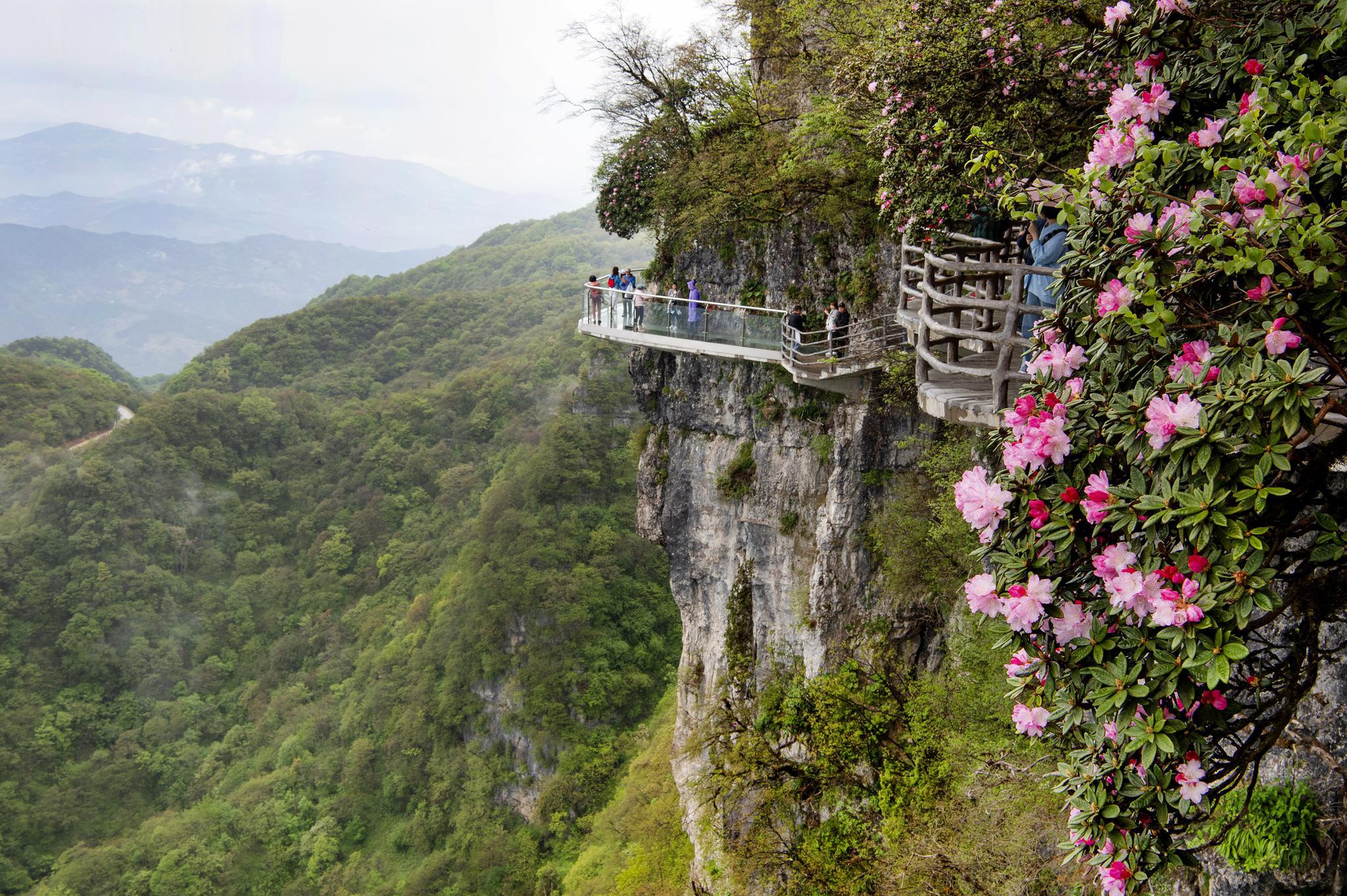 5月11日,游人在汉中龙头山景区游览.新华社记者 陶明 摄