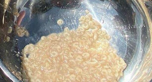 蜂皇胎的功效,蜂王胎的功效作用