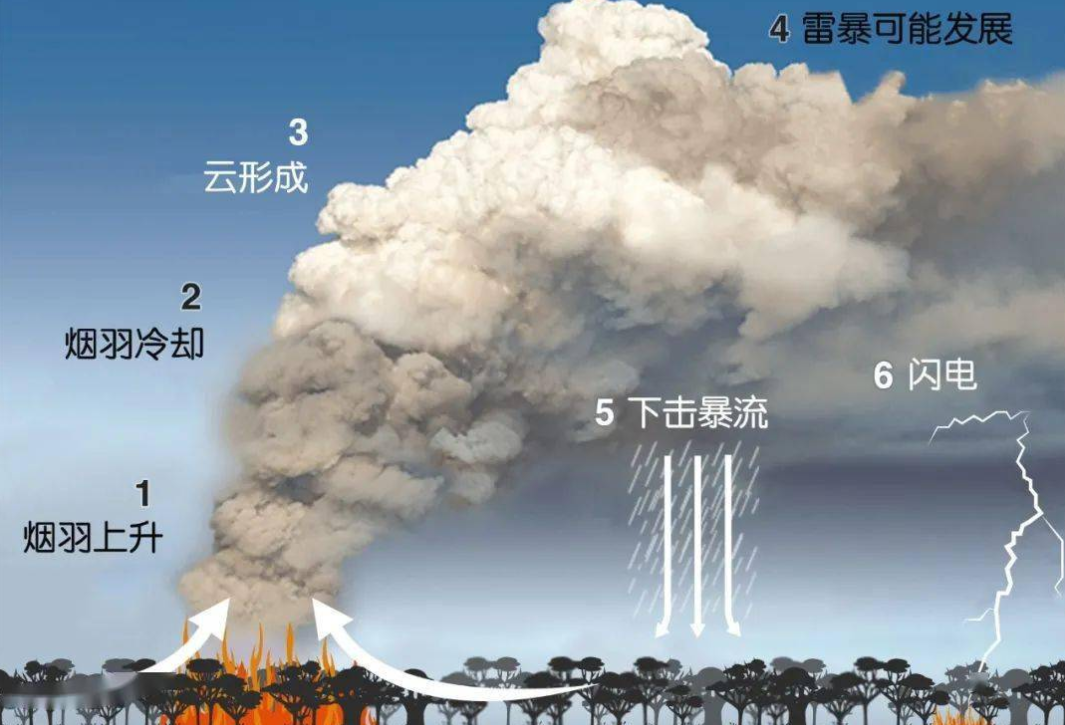 地球改变之年是不是野生动物发展年2021年又是灾难多的一年
