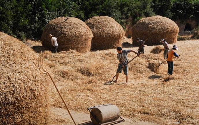 八十年代出生的人们还记得当年农村打麦场有多少欢乐过往吗