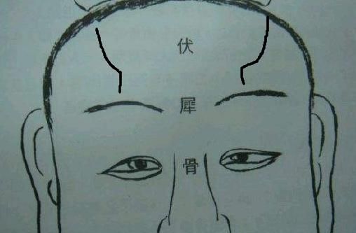 农村俗语伏犀贯顶越老越有福什么是伏犀呢老话在理吗