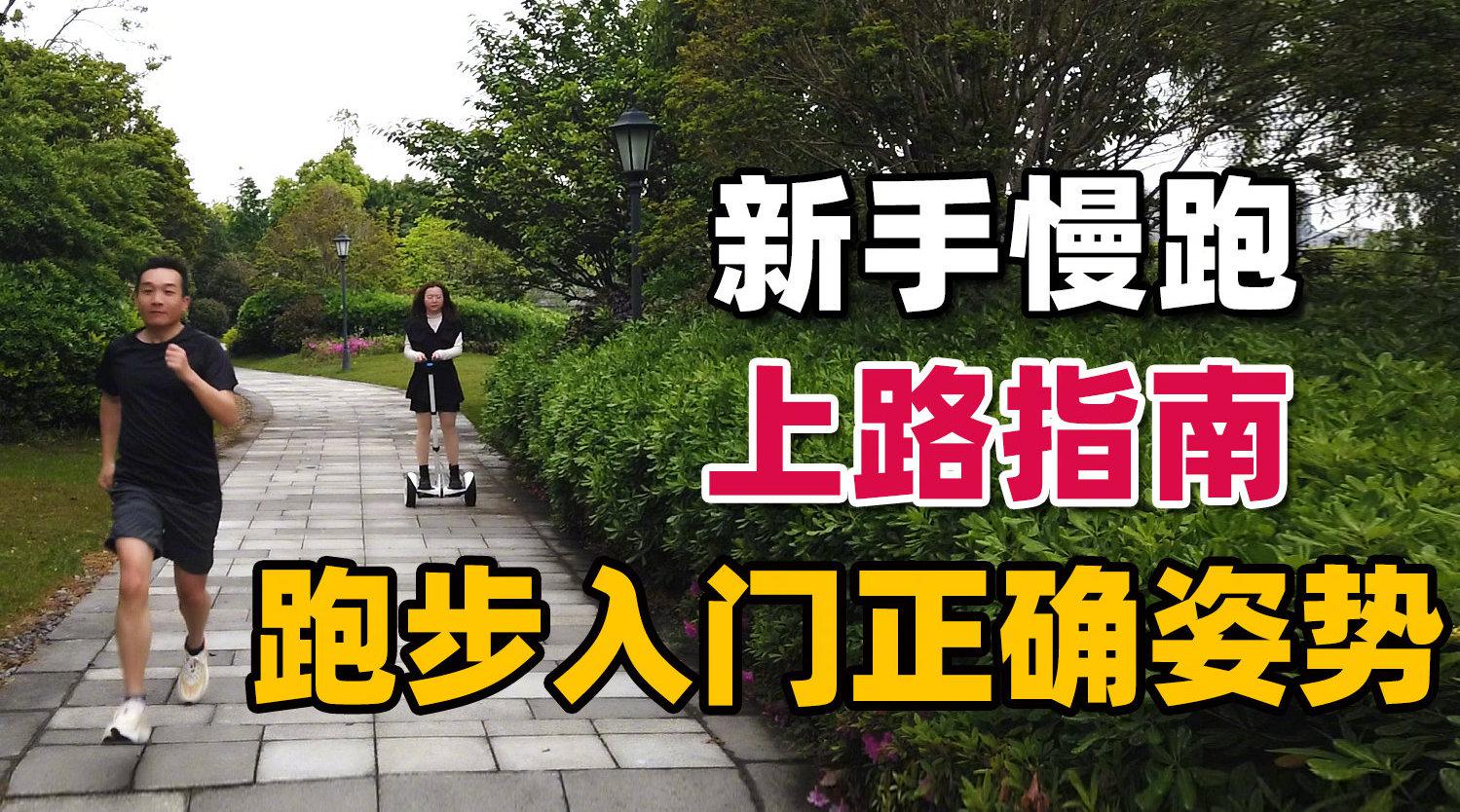 SEO新手入门指南 SEO优化需要掌握哪些技能