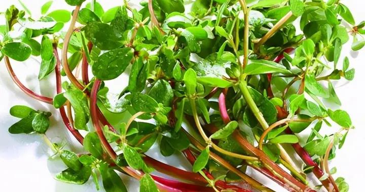 日光性皮炎 日光性皮炎最新消息 新闻 图片 视频 聚合阅读 新浪网