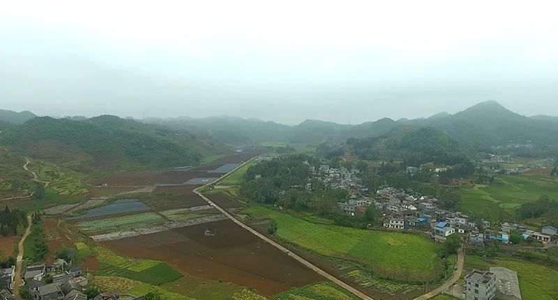 兴仁市下山镇:发展辣椒种植 助推坝区产业提质增效