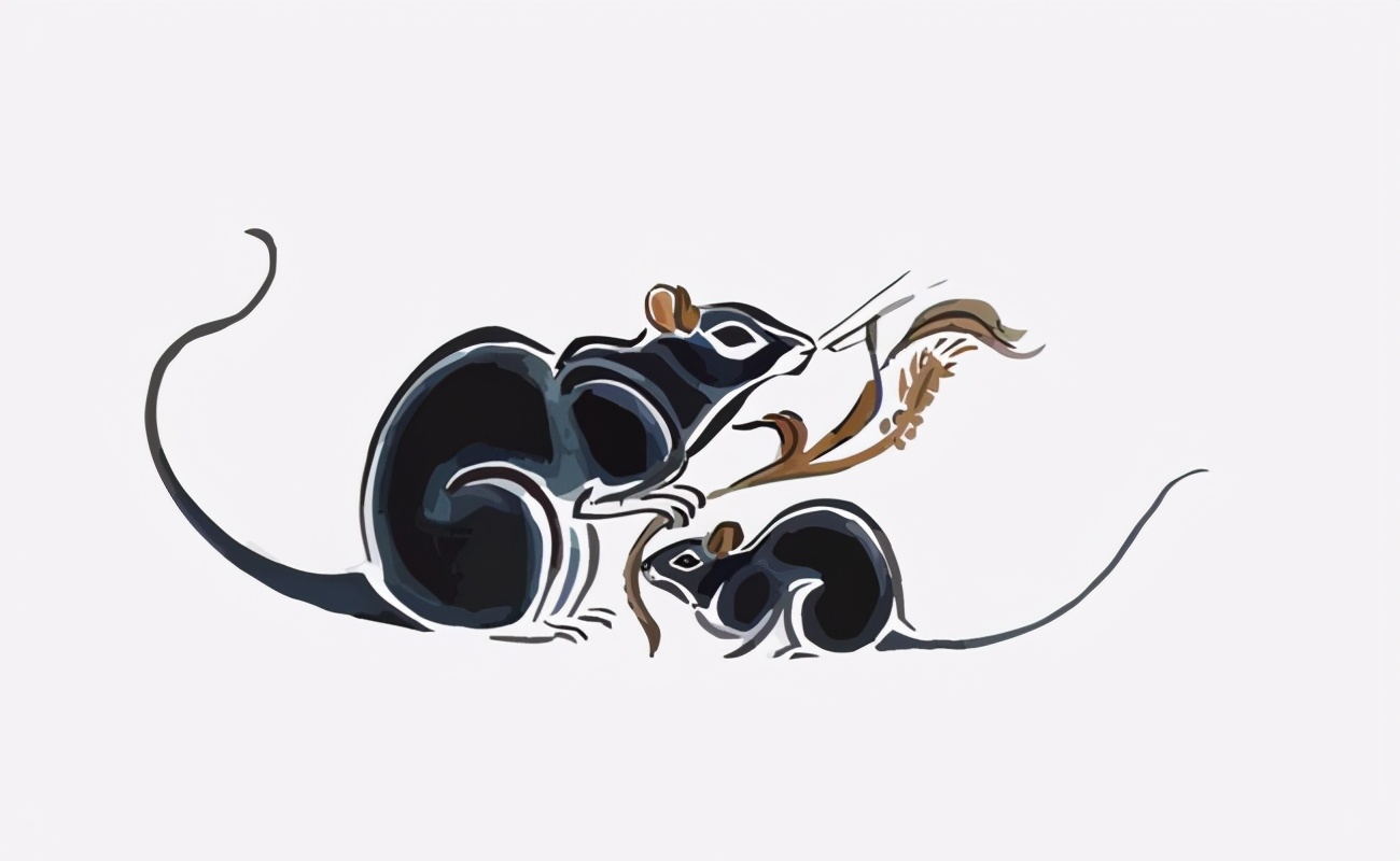 生肖鼠|性格|阴历_新浪新闻