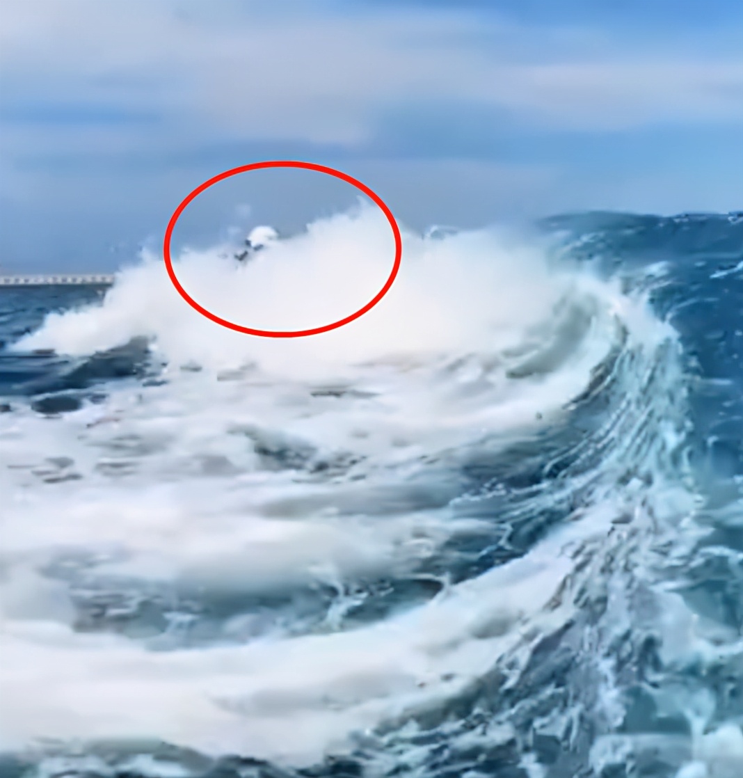 baby海上冲浪摔倒15次穿紧身服显胳膊纤细掉进海里见不着人影