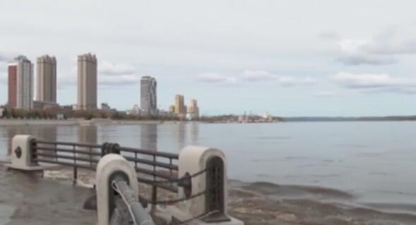 蛰伏17年 300亿只蝉将席卷美国休闲区蓝鸢梦想 - Www.slyday.coM