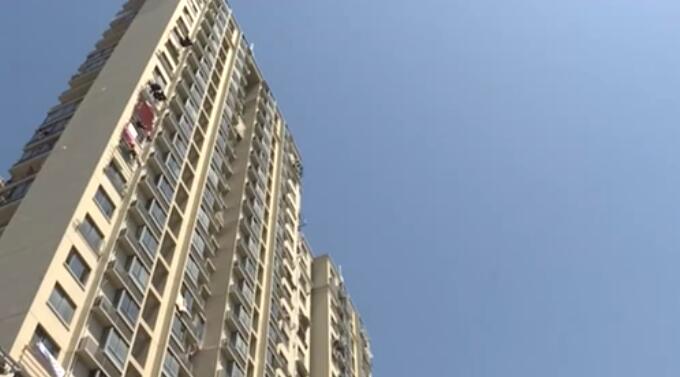 蛰伏17年 300亿只蝉将席卷美国休闲区蓝鸢梦想 - Www.slyday.coM