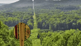 蛰伏17年 300亿只蝉将席卷美国休闲区蓝鸢梦想 - Www.slyday.coM