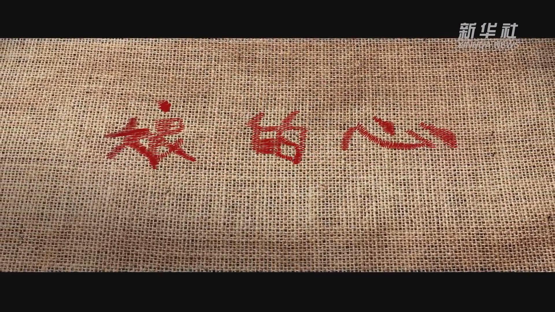 蛰伏17年 300亿只蝉将席卷美国休闲区蓝鸢梦想 - Www.slyday.coM