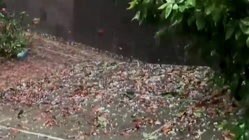 蛰伏17年 300亿只蝉将席卷美国休闲区蓝鸢梦想 - Www.slyday.coM