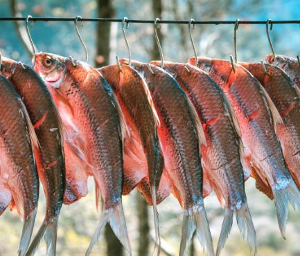 腌腊鱼时,掌握"4要点",腊鱼鲜香入味,久放不坏,越放越香!