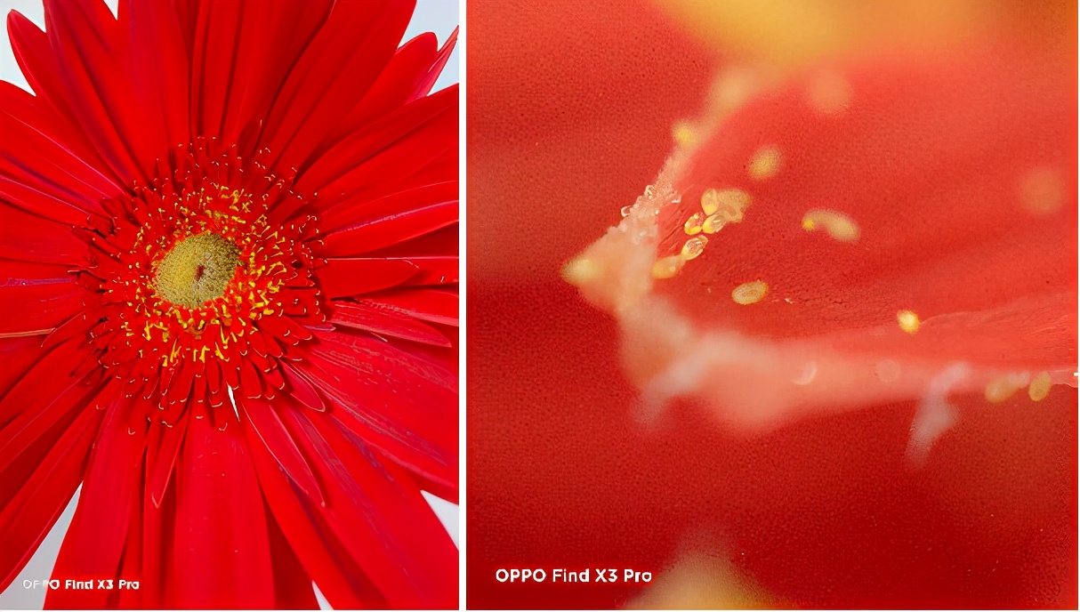 (左:oppo find x3 pro一倍拍摄;右:oppo find x3 pro显微镜拍摄)目前