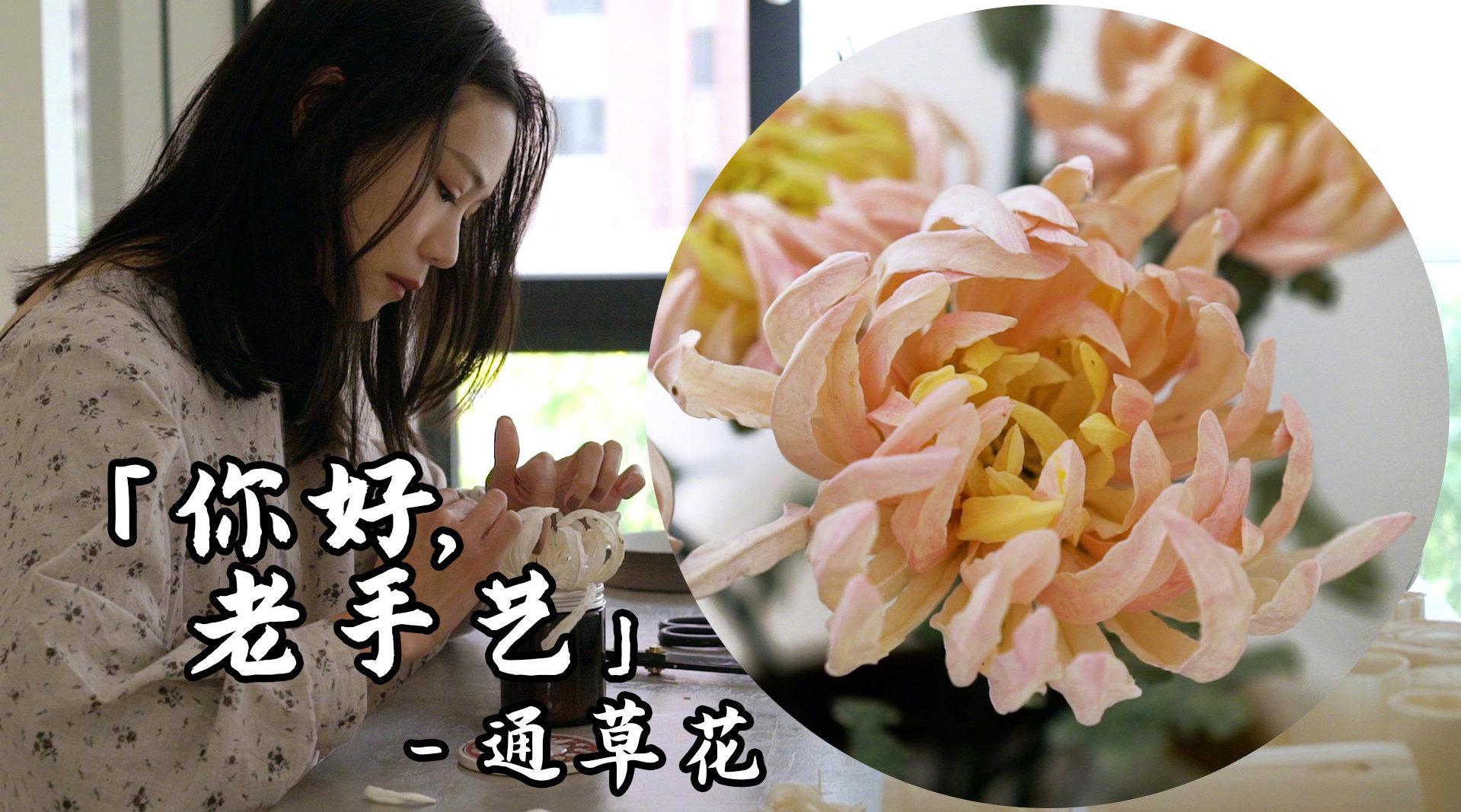 「非遗扬州通草花」你好,老手艺!