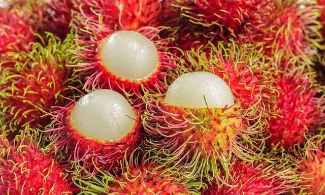 红毛丹又叫毛荔枝,到底是荔枝吗?二者有啥区别?果农详细告诉你