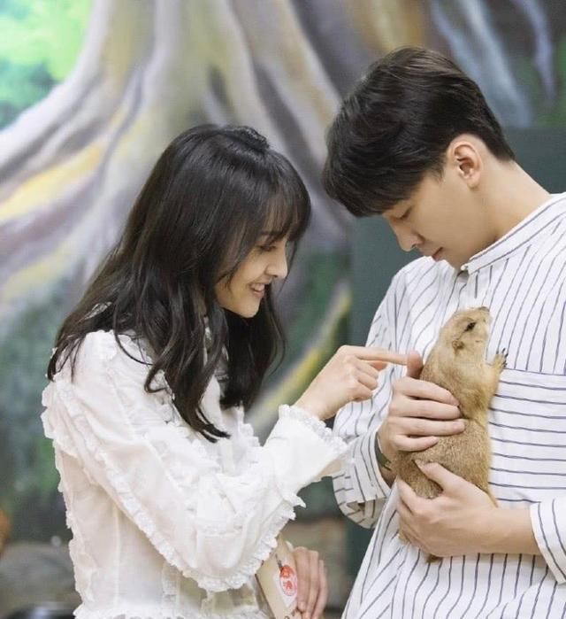 郑爽张恒抚养权案30页判决书写了什么内容?判决书全文中文翻译介绍