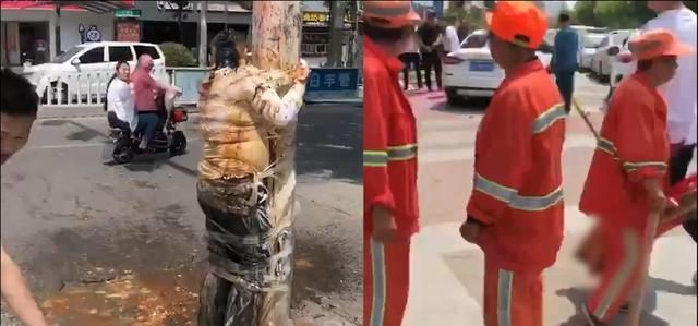 河南周口结婚那天新郎被绑在树上,泼面粉浇鞋油,环卫工人很无奈休闲区蓝鸢梦想 - Www.slyday.coM