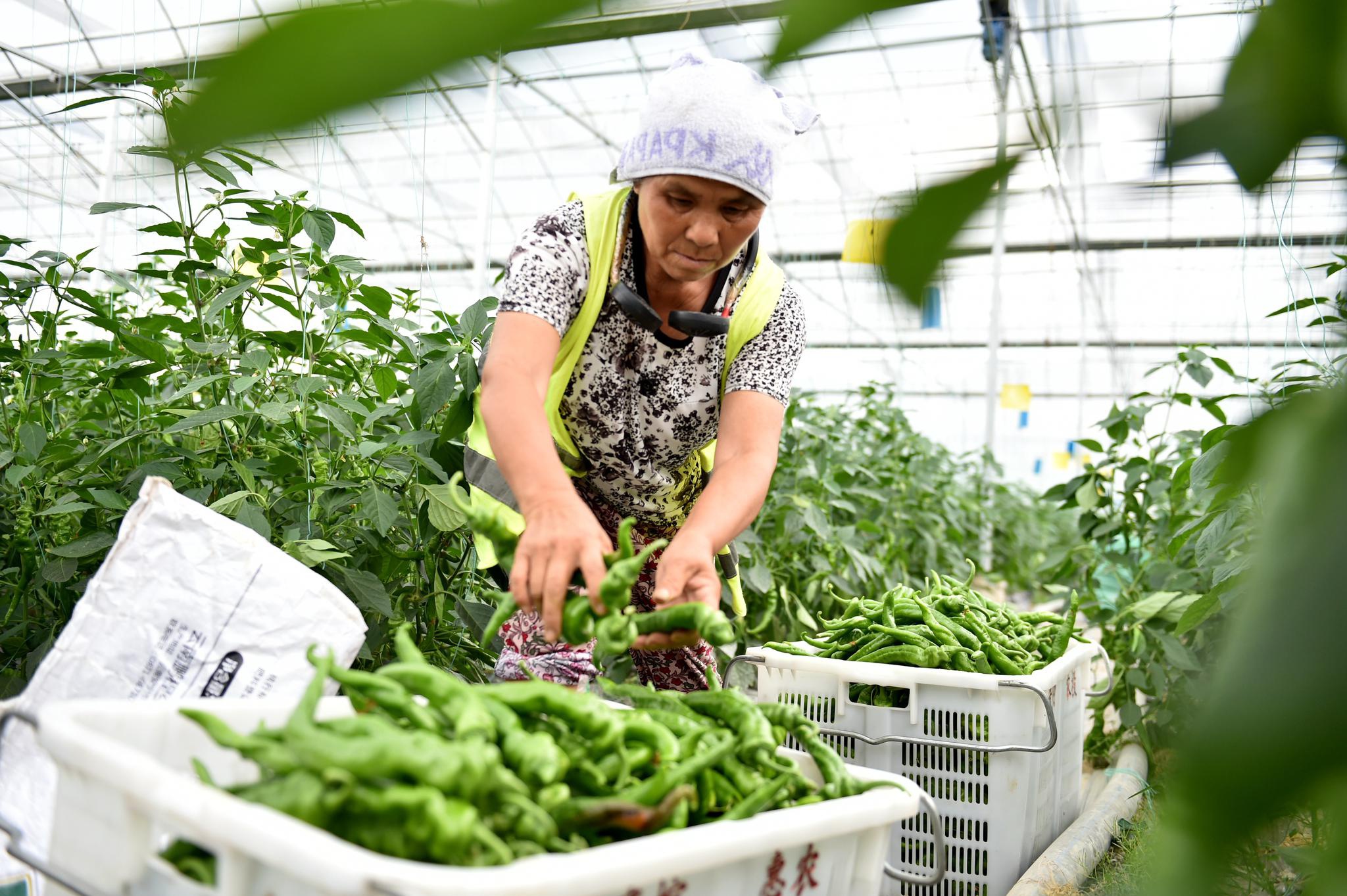 不负农时劳作忙