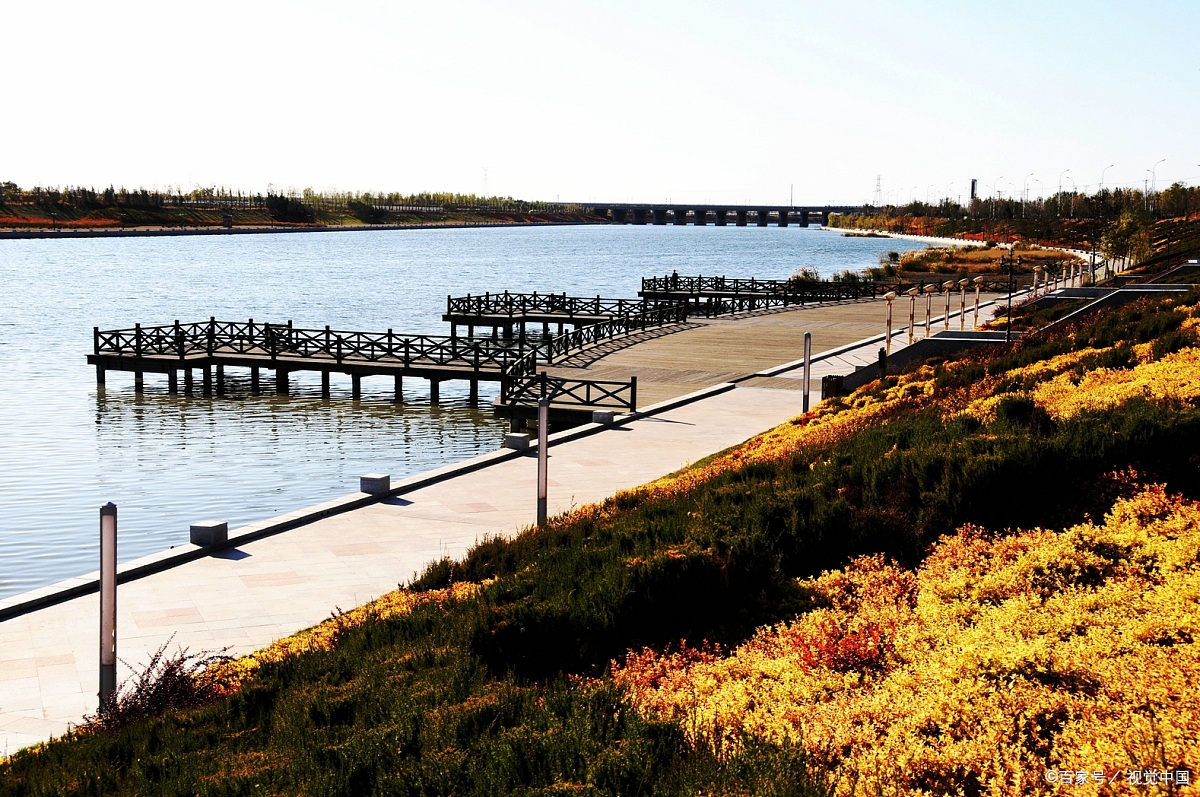 探秘鲅鱼圈:从海鲜盛宴到文化传承的全景攻略